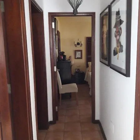 Nº 7 Tajinaste * Puerto del Carmen (Lanzarote)