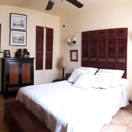 Nº 7 Tajinaste * بويرتو ذيل كارمين