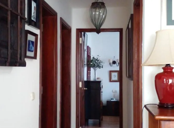 Nº 7 Tajinaste * Puerto del Carmen (Lanzarote)