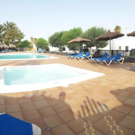 Nº 7 Tajinaste Puerto del Carmen (Lanzarote)