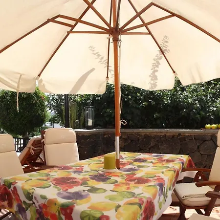 Nº 7 Tajinaste * Puerto del Carmen (Lanzarote)